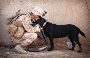 Soldier with Lab